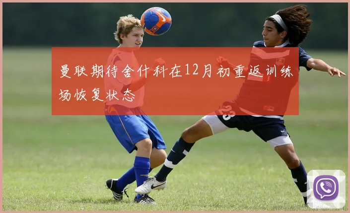 曼联期待舍什科在12月初重返训练场恢复状态