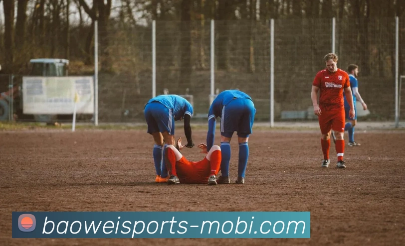 宝威体育平台生态图