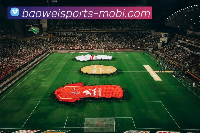 宝威体育APP 封面图