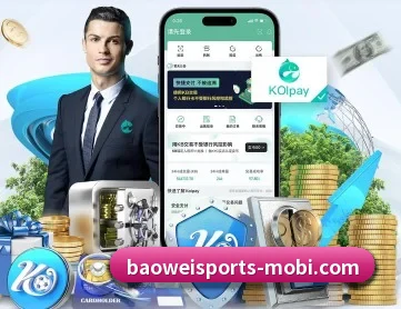 宝威体育 APP